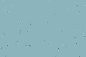 Линолеум Forbo Sphera Energetic 50217 mystic blue фото  | FLOORDEALER